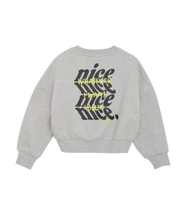 Indian Blue Jeans Winter sweater meisjes - grijs - glitterprint