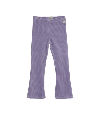 Daily7 winter flare broek meisjes - paars - velvet