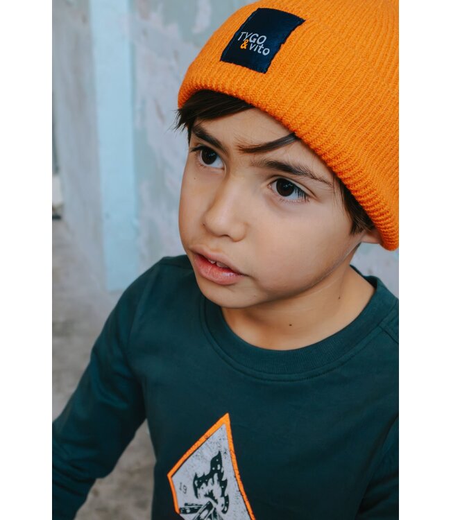 Tygo & Vito winter t-shirt jongens - groen - Mason - longsleeve