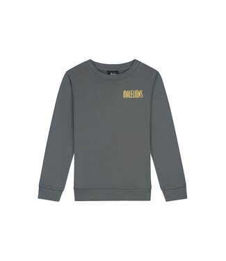 Malelions winter sweater jongens - grijs - hollywood map