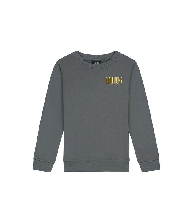Malelions winter sweater jongens - grijs - hollywood map