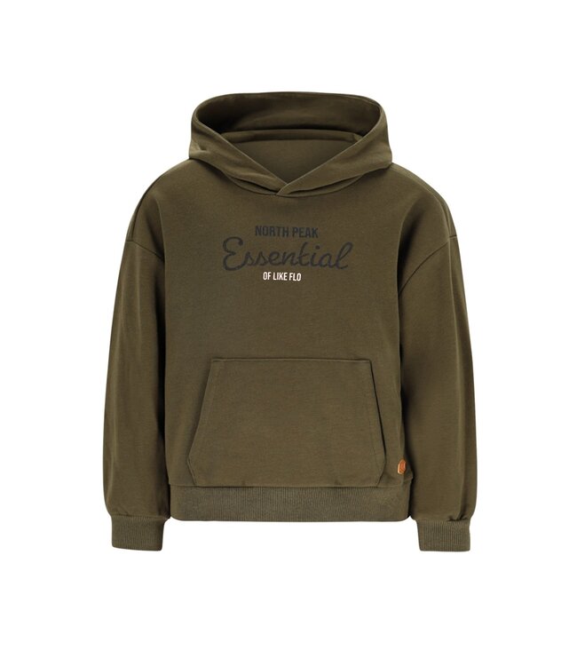Like Flo winter hoodie jongens - groen - Dail