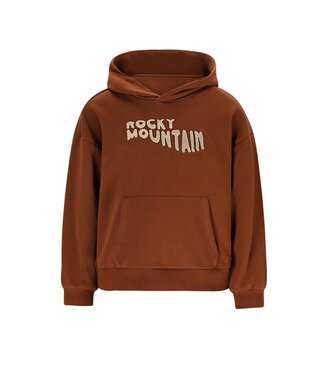 Like Flo winter hoodie jongens - bruin - Dail
