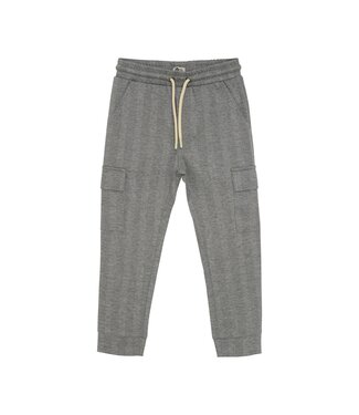 Daily7 winter cargo broek jongens - grijs - strepen