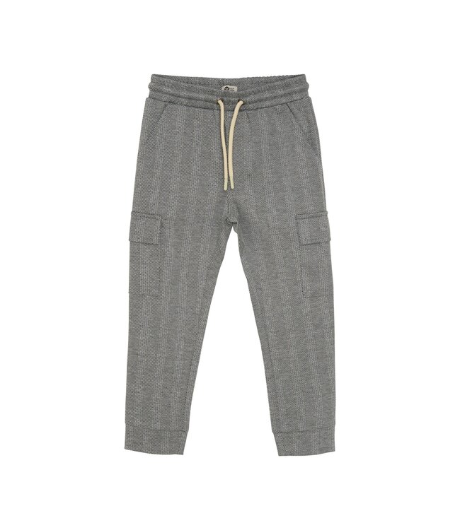 Daily7 winter cargo broek jongens - grijs - strepen