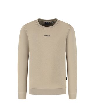 Ballin winter sweater jongens - taupe - animal take over
