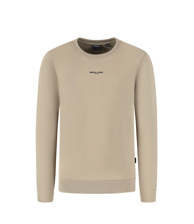 Ballin winter sweater jongens - taupe - animal take over