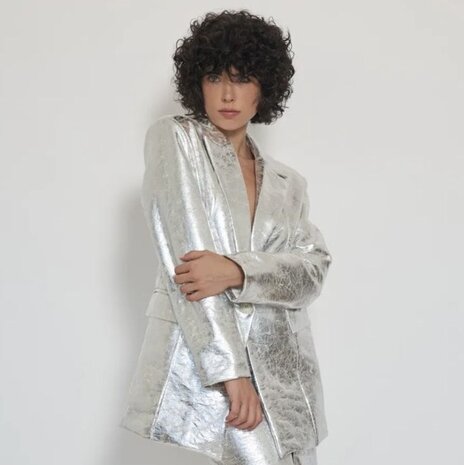 SILVER BLAZER