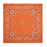 PAISLEY|MOYENS FOULARD Wild MOYENS FOULARD