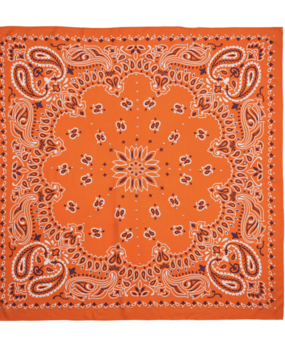 PAISLEY|MOYENS FOULARD Wild MOYENS FOULARD PAISLEY|MOYENS FOULARD Wild MOYENS FOULARD