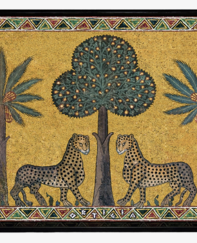 Tray Zagara Tray Zagara