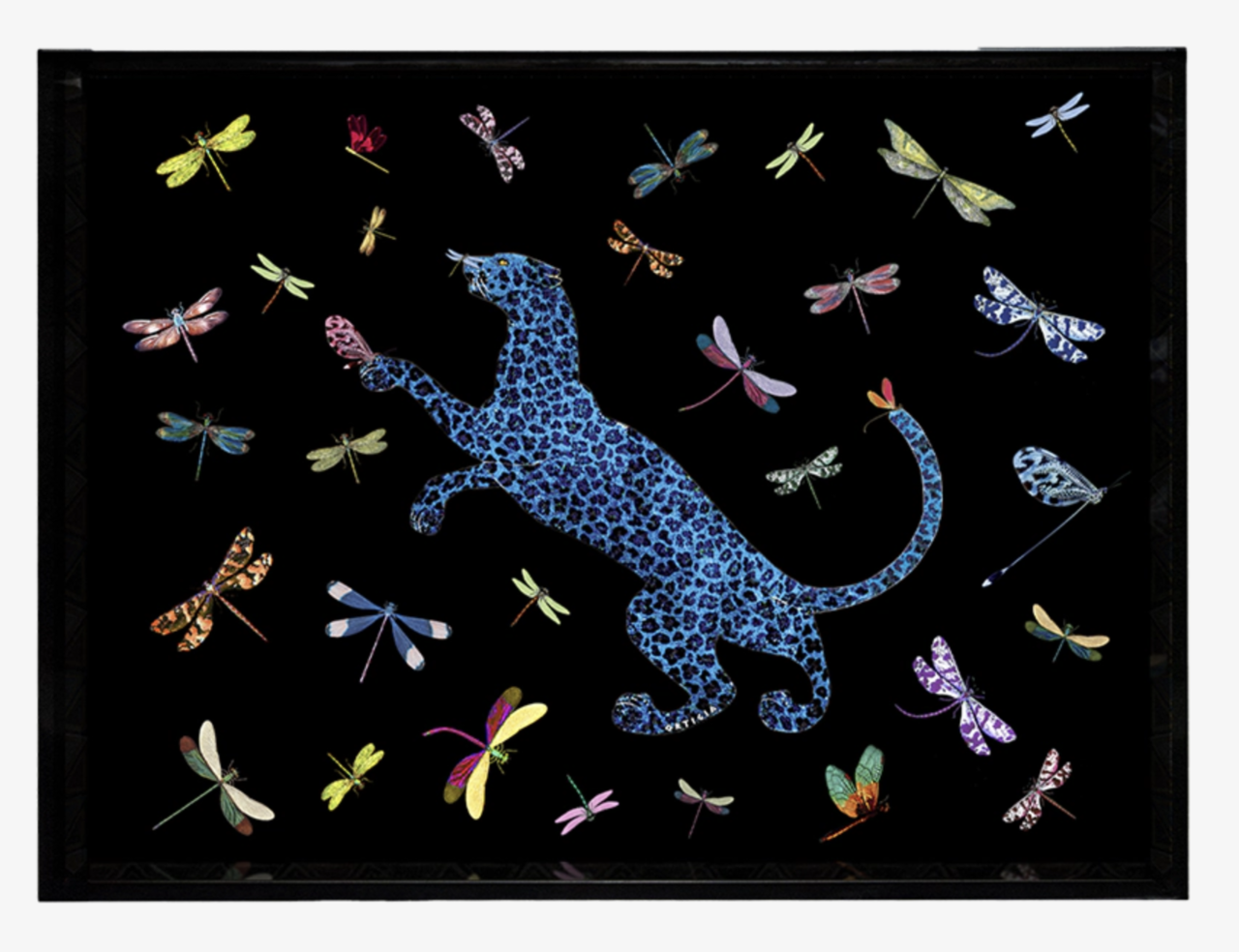 Tray Dragonflies Small