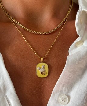Mickey ketting