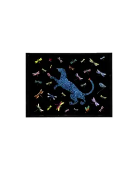 Tray Dragonflies Small
