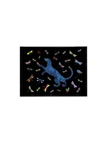 Tray Dragonflies Small