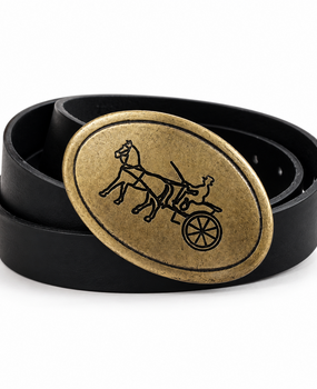 Horse coach Belt