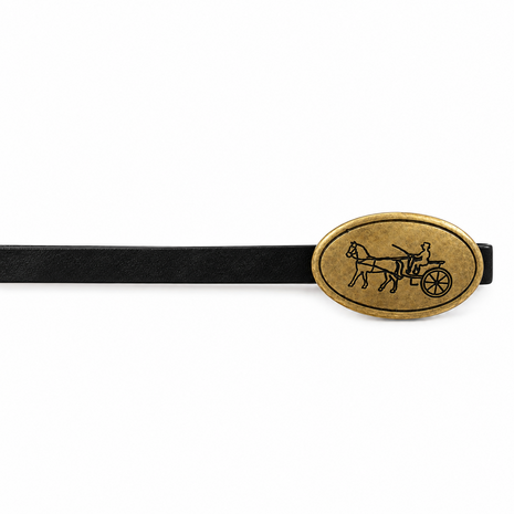 Horse coach Belt