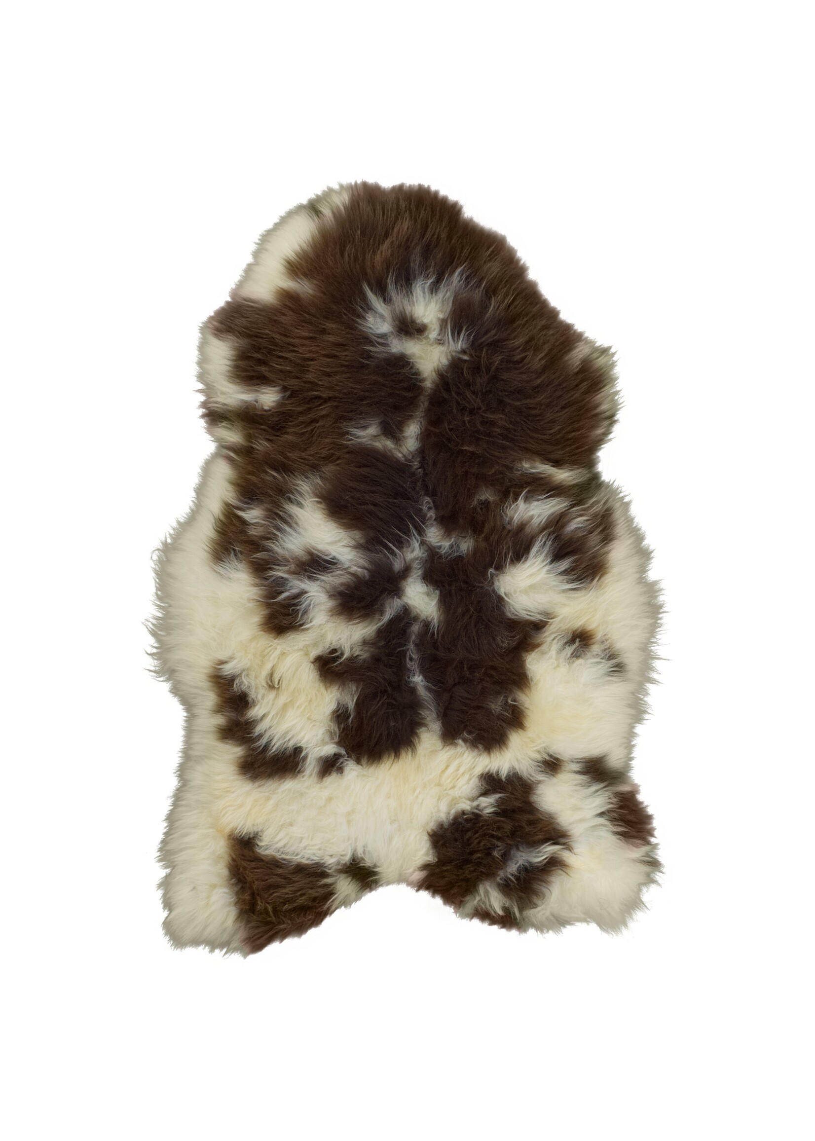 Van Buren sinds 1861 Texel Schaffell Bunt