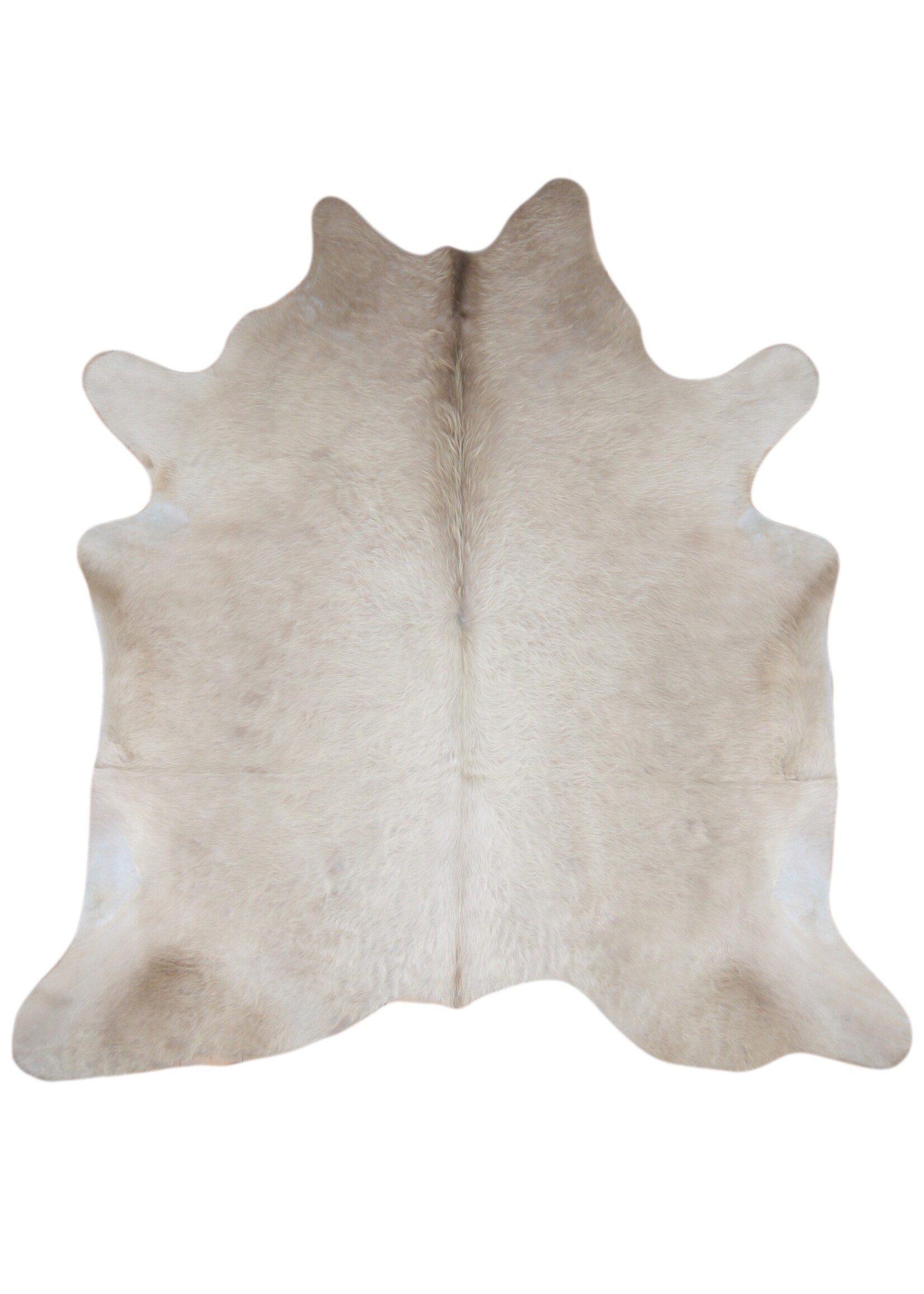 Van Buren sinds 1861 Champagne Cowhide