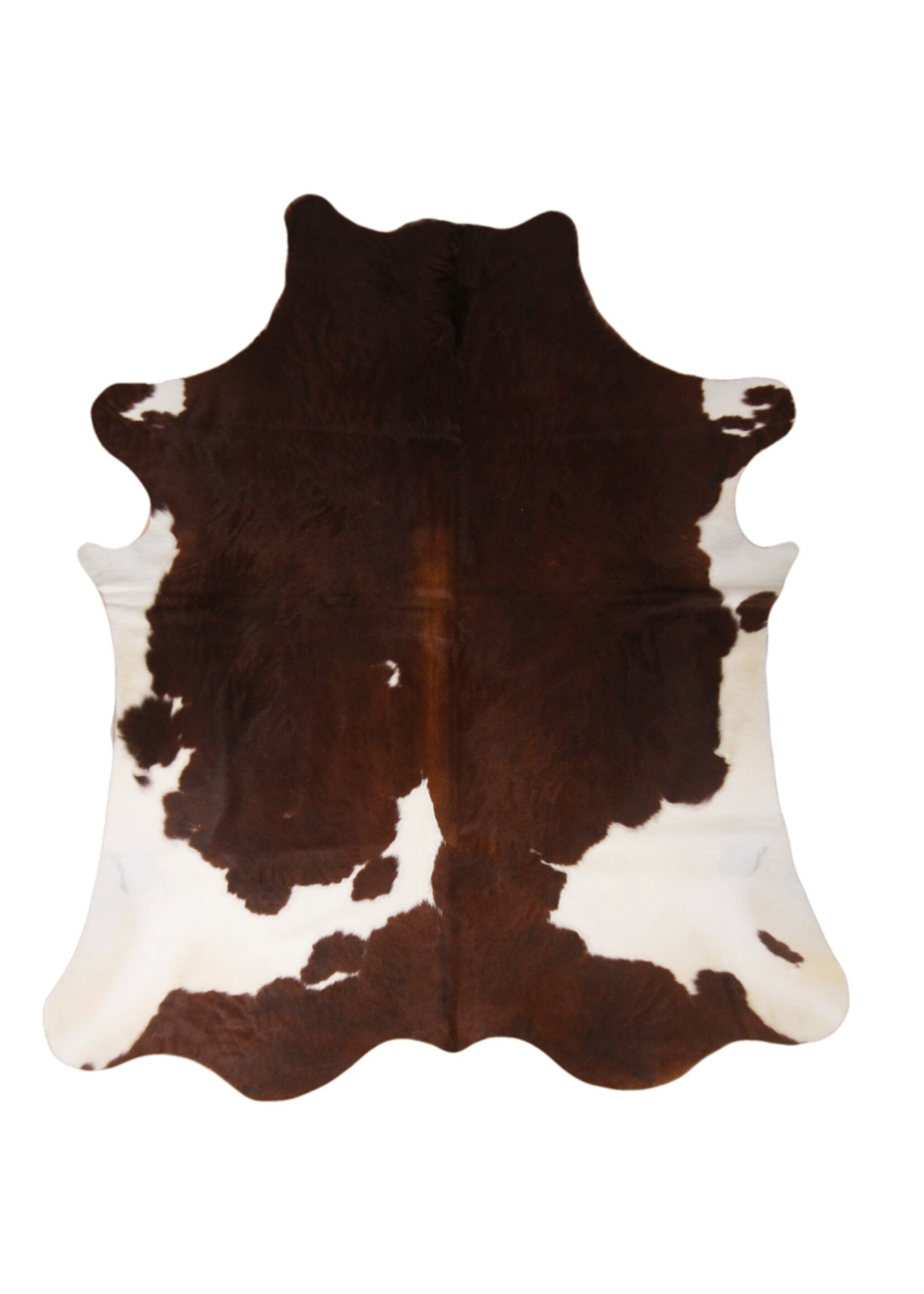 Van Buren sinds 1861 Red & White Spotted Cowhide