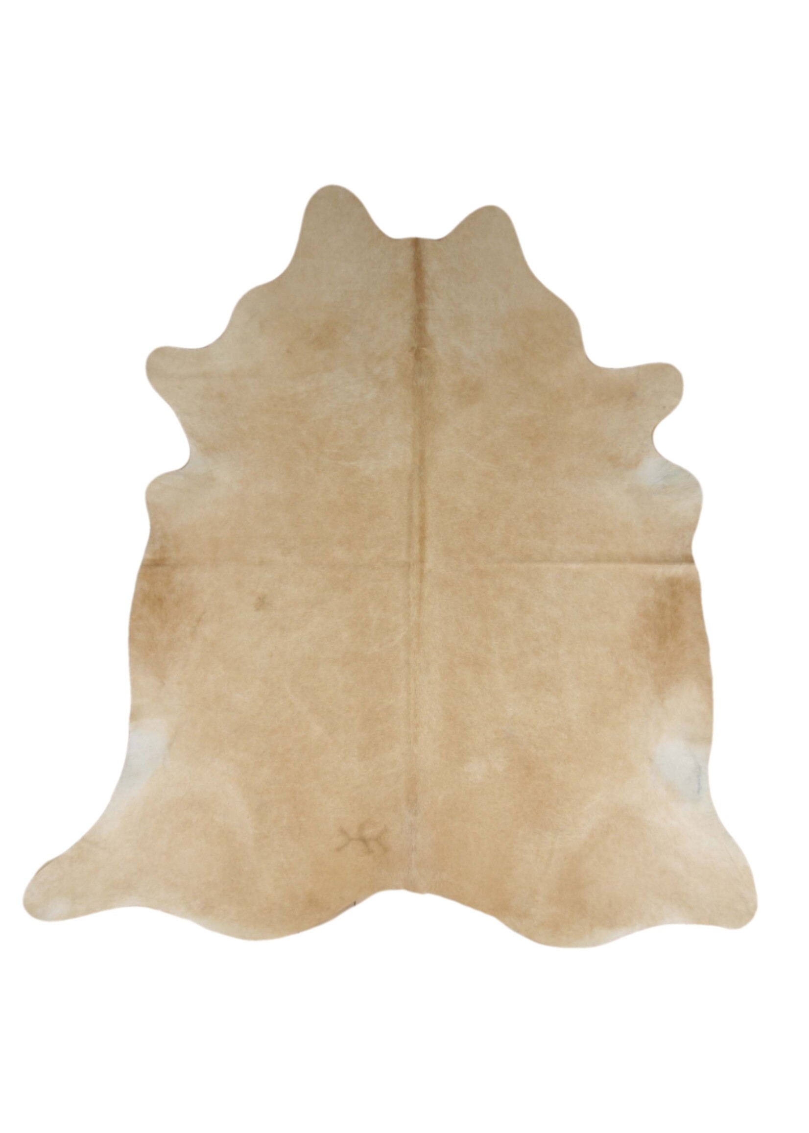 Van Buren sinds 1861 Cowhide - Beige