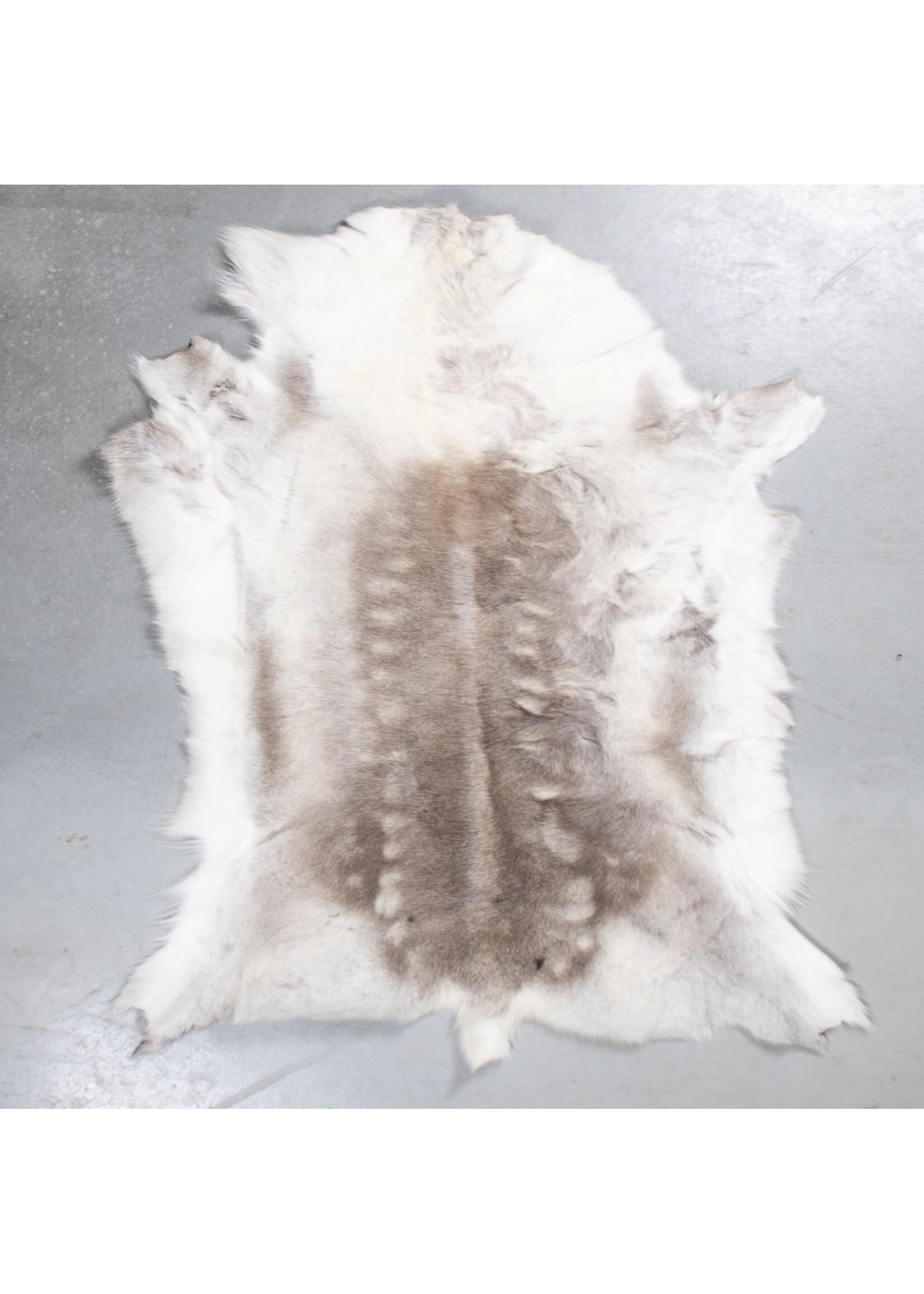 Van Buren sinds 1861 Reindeer Skin Light - RD-035