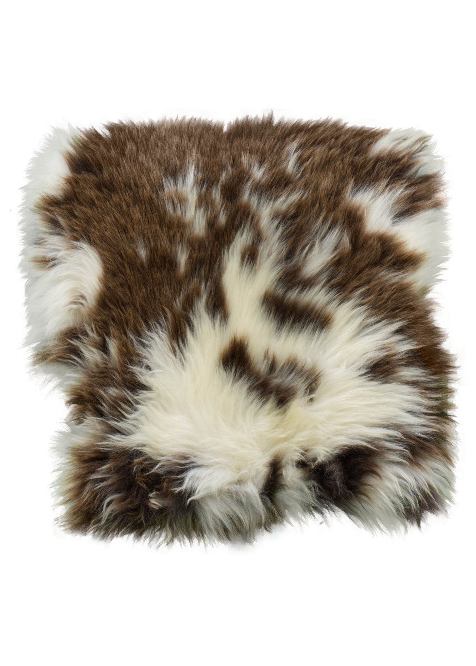 Van Buren sinds 1861 Coussin de chaise en Peau de mouton de Texelan