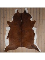 Van Buren sinds 1861 Cowhide - Tricolour - Unique 240