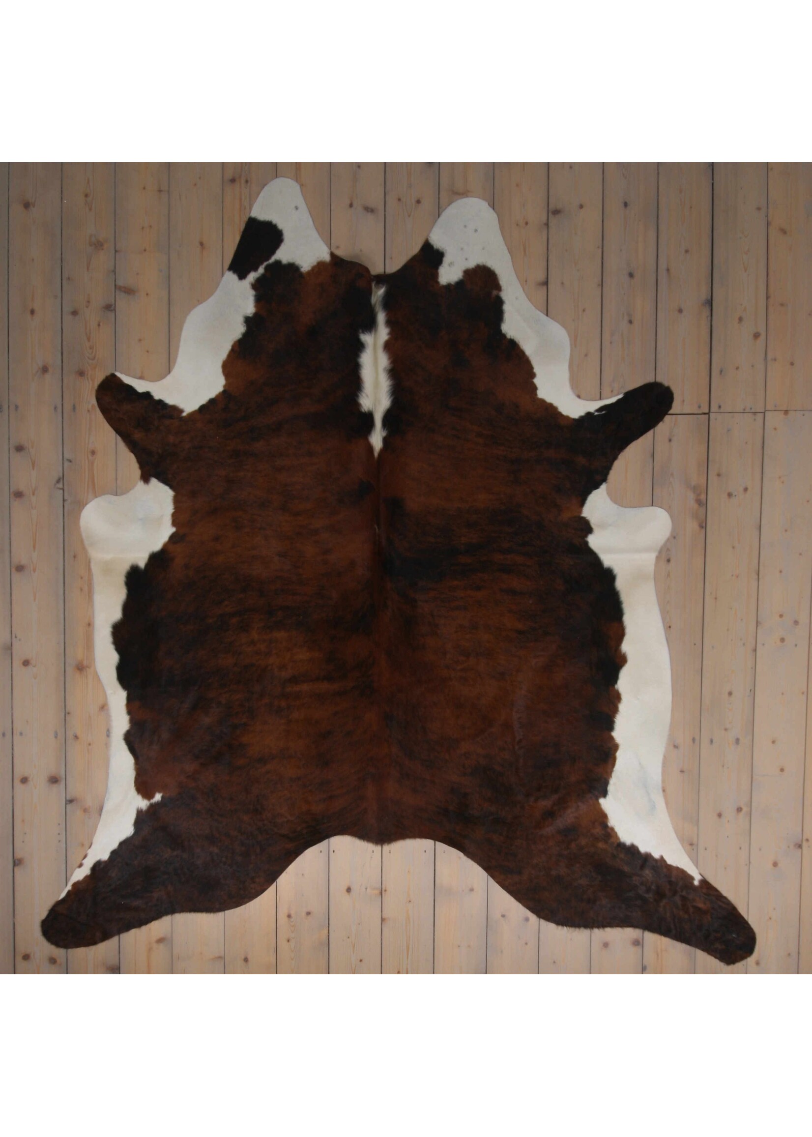 Van Buren sinds 1861 Cowhide - Tricolour - Unique 241