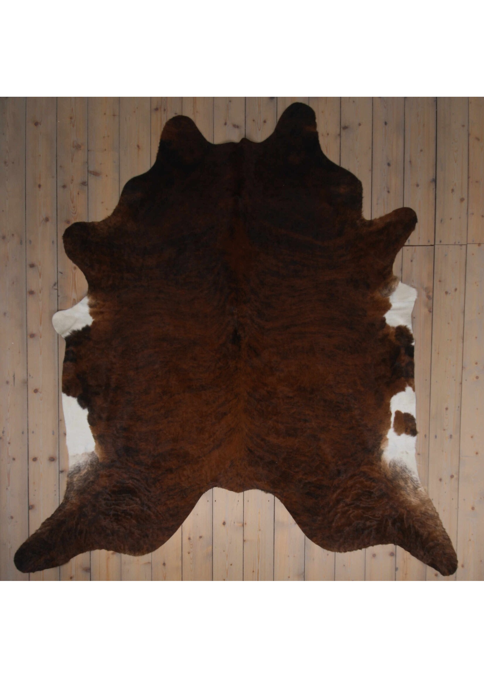 Van Buren sinds 1861 Cowhide - Tricolour - Unique 279