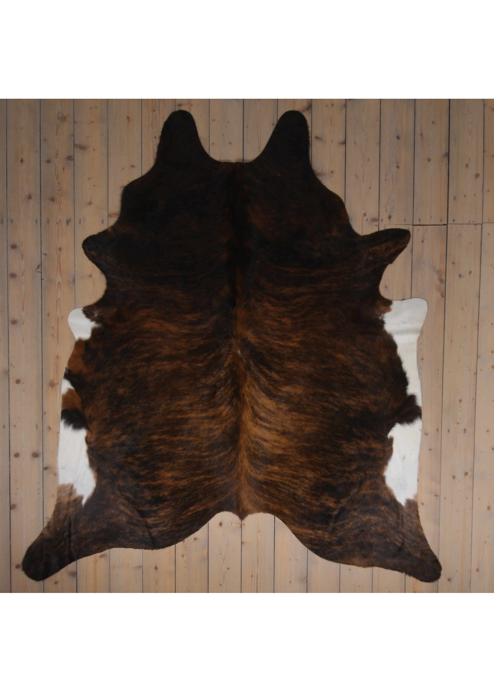 Van Buren sinds 1861 Cowhide - Tricolour - Unique 401