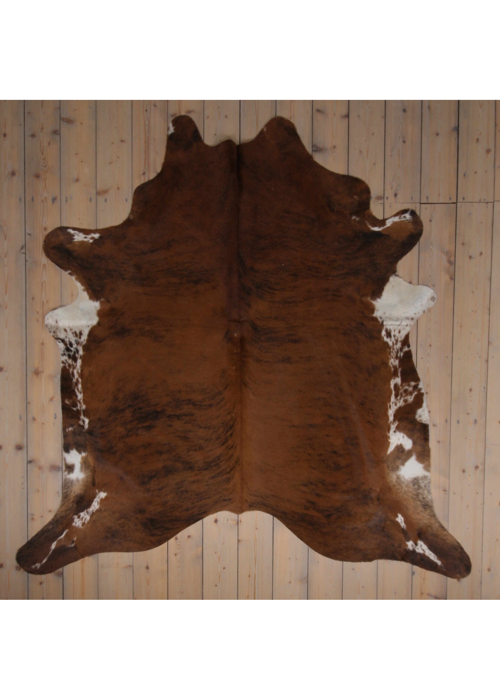 Van Buren sinds 1861 Cowhide - Tricolour - Unique 403