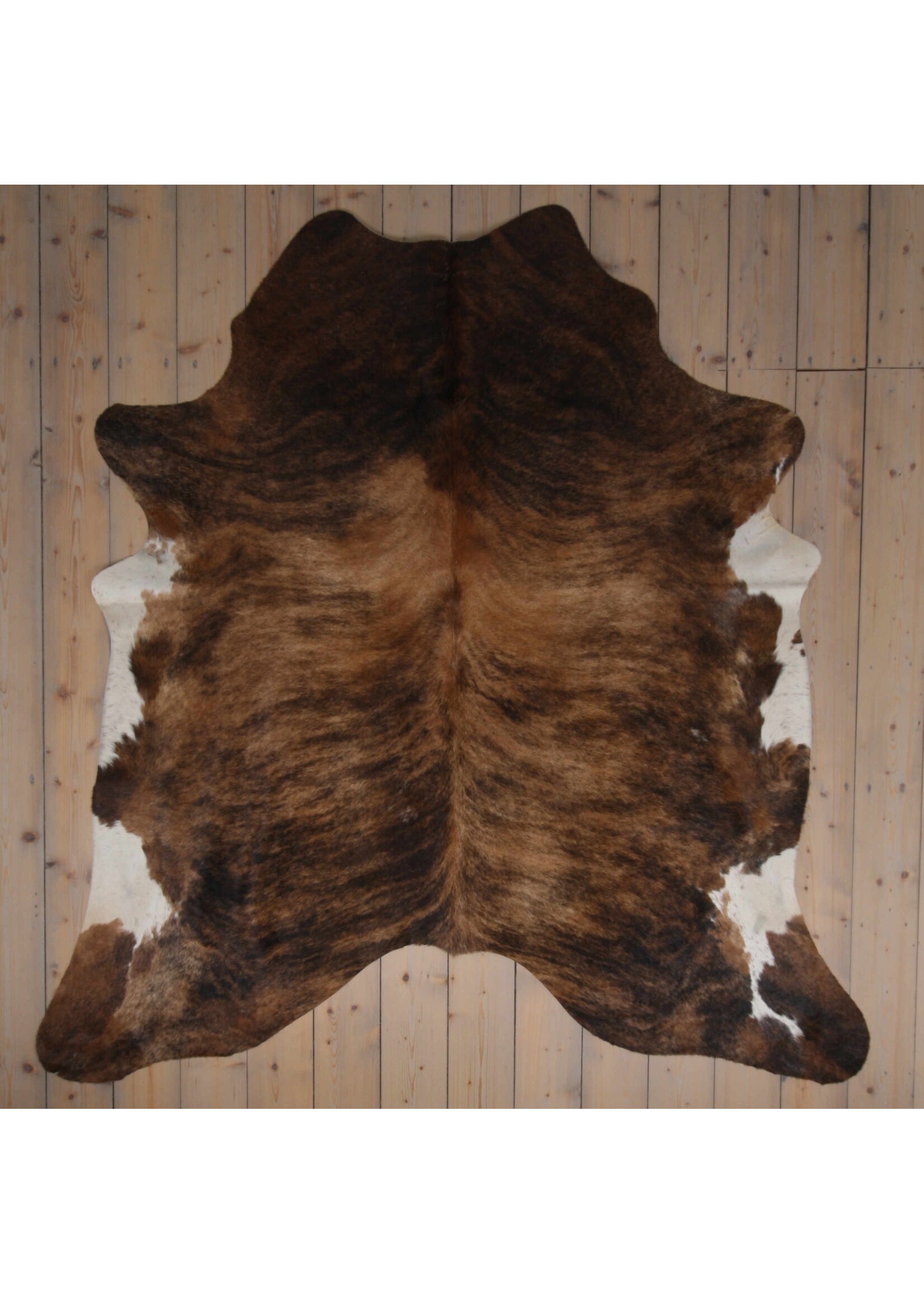 Van Buren sinds 1861 Cowhide - Tricolour - Unique 419