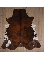 Van Buren sinds 1861 Cowhide - Tricolour - Unique 424