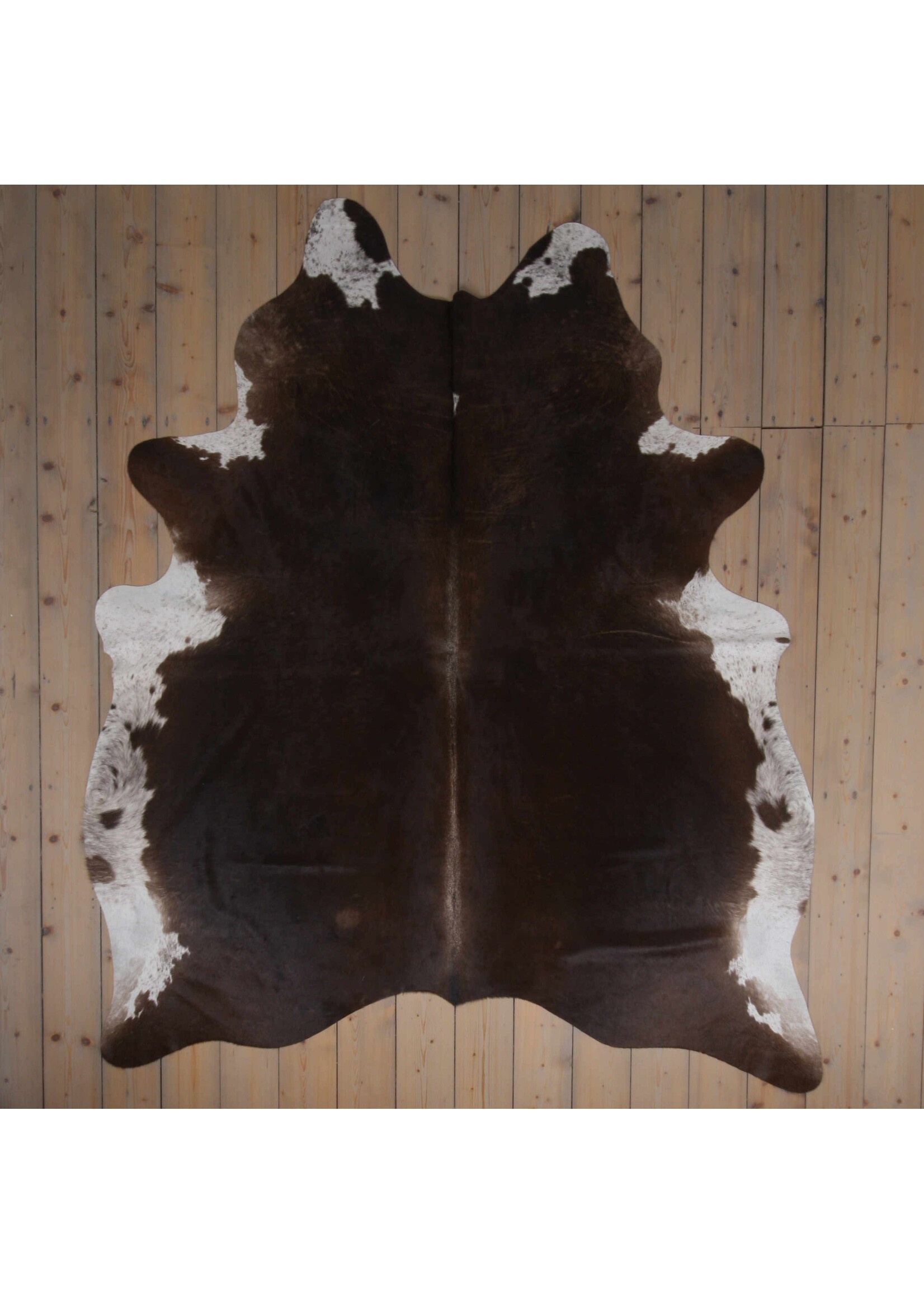 Van Buren sinds 1861 Cowhide - Assorted - Unique 473