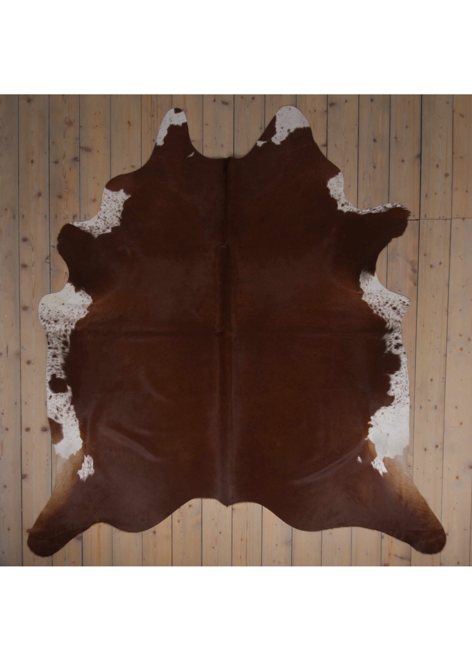 Van Buren sinds 1861 Cowhide - Assorted - Unique 476