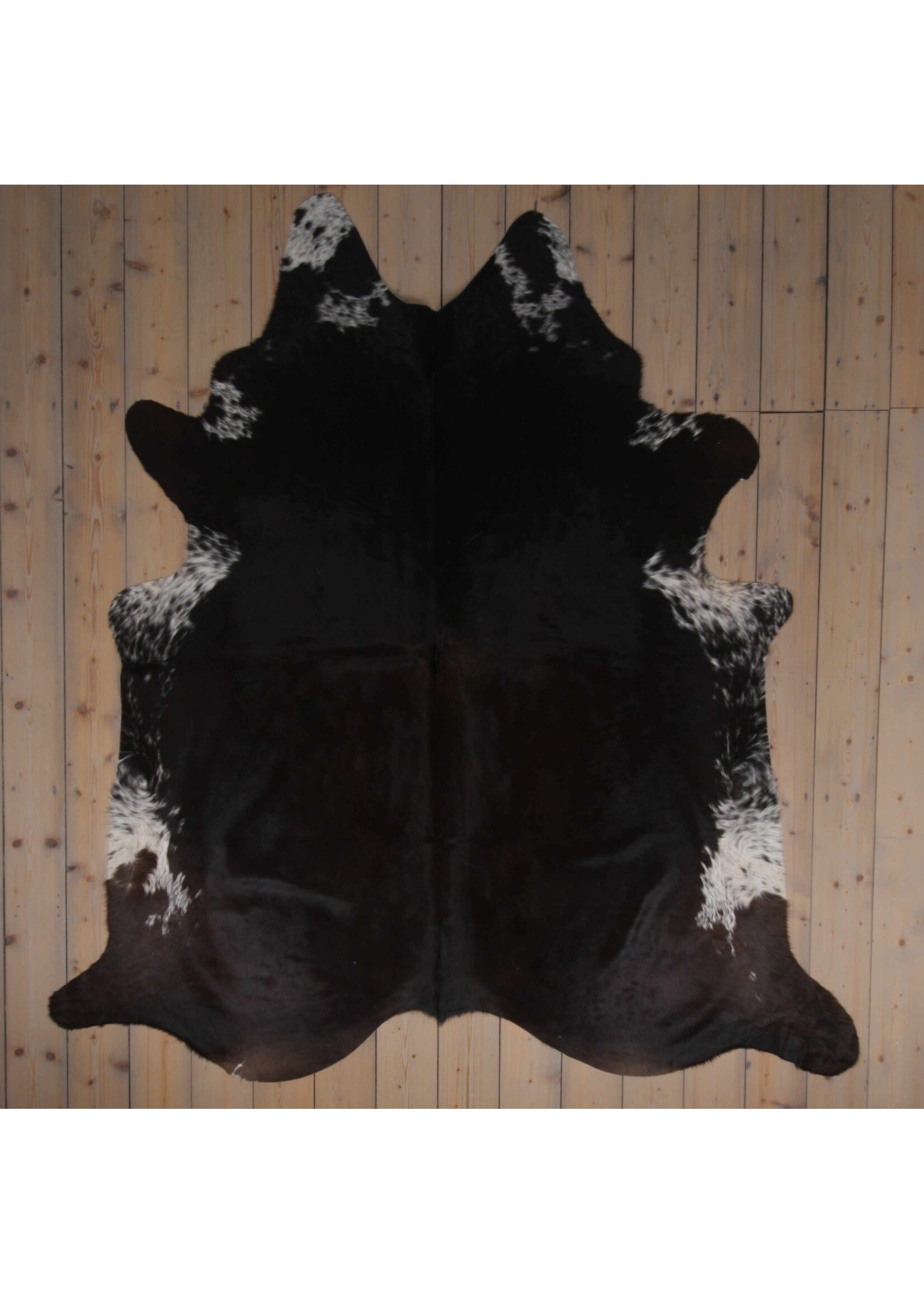 Van Buren sinds 1861 Cowhide - Assorted - Unique 479