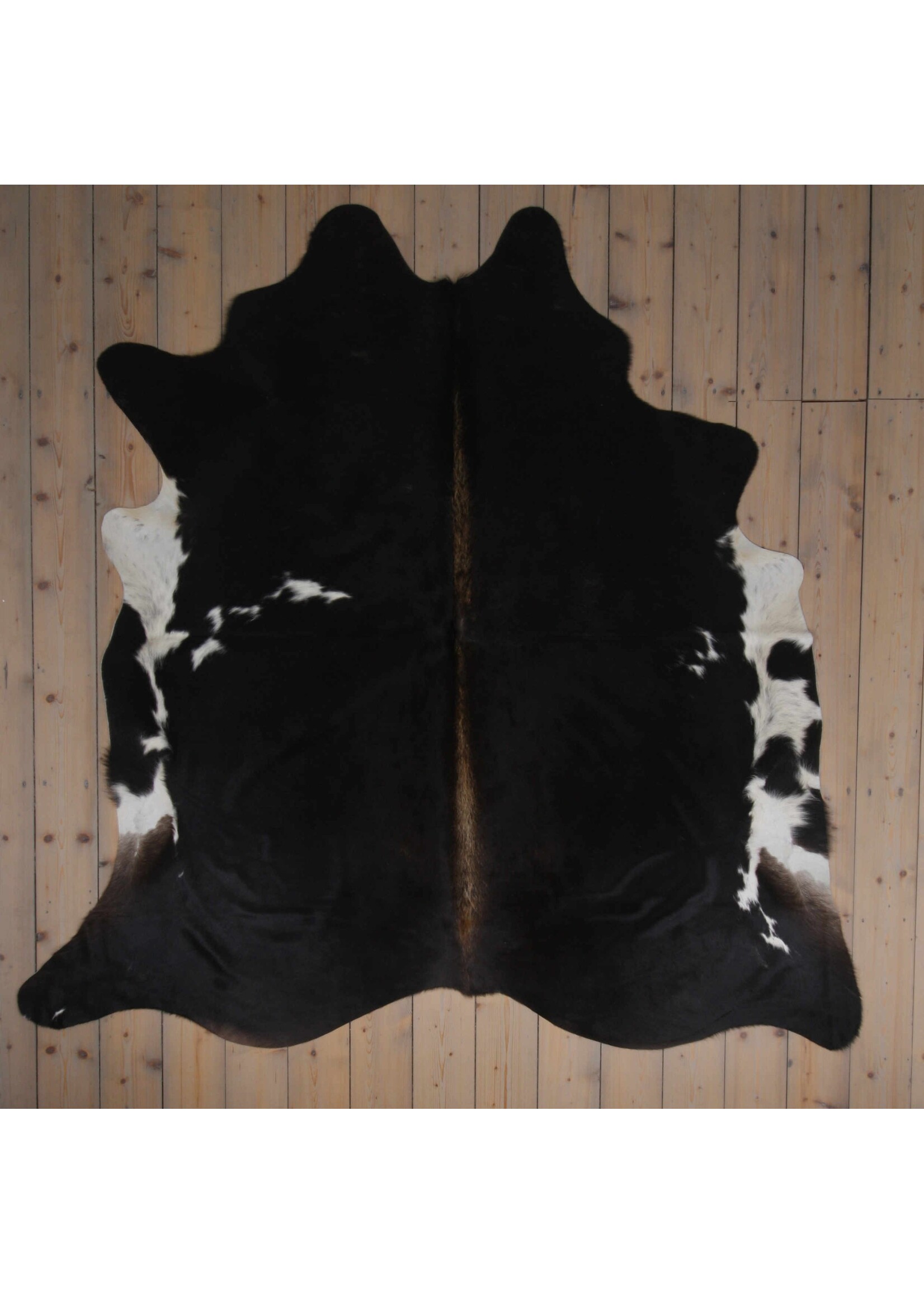 Van Buren sinds 1861 Cowhide - Assorted - Unique 483