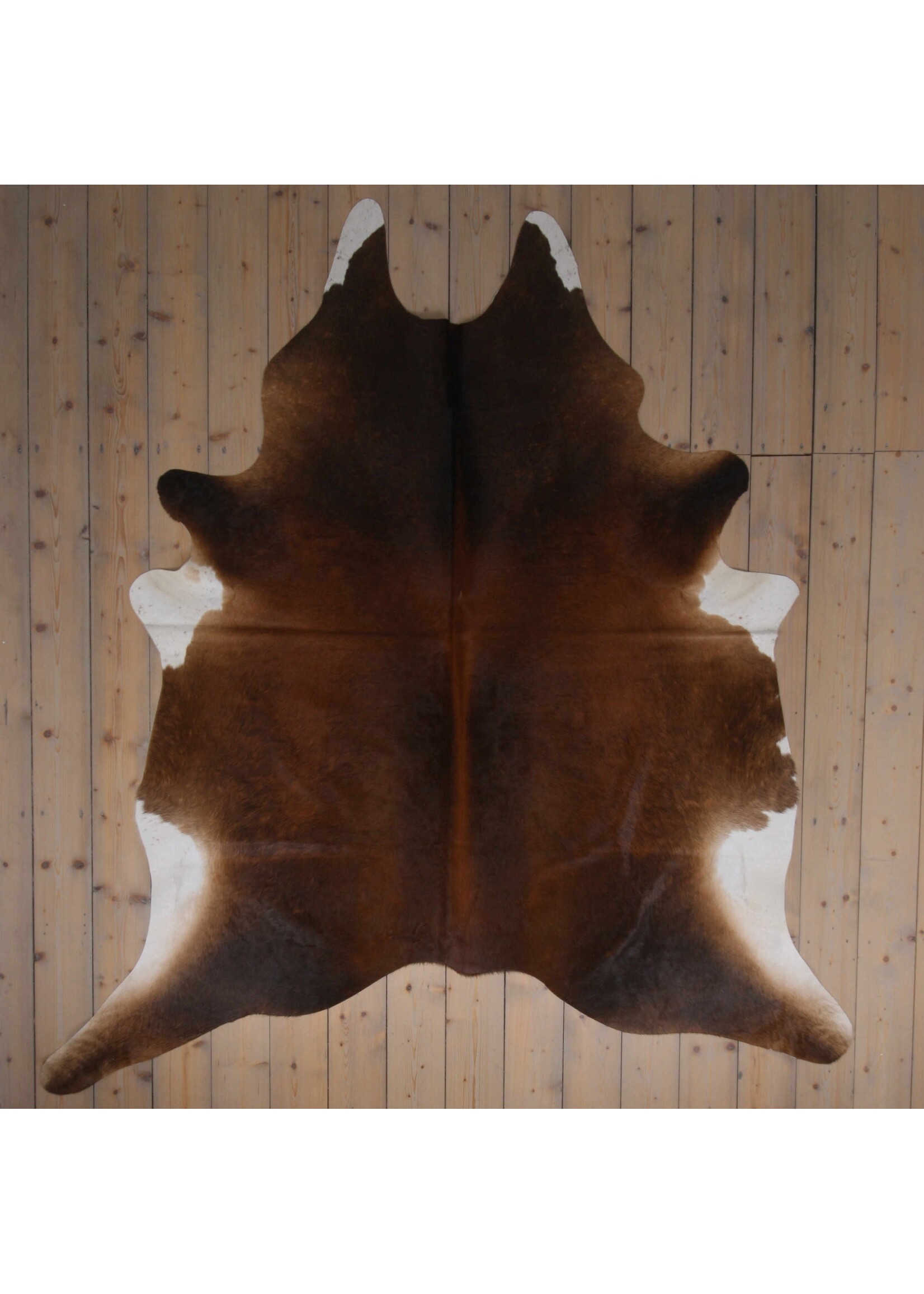 Van Buren sinds 1861 Cowhide - Assorted - Unique 487