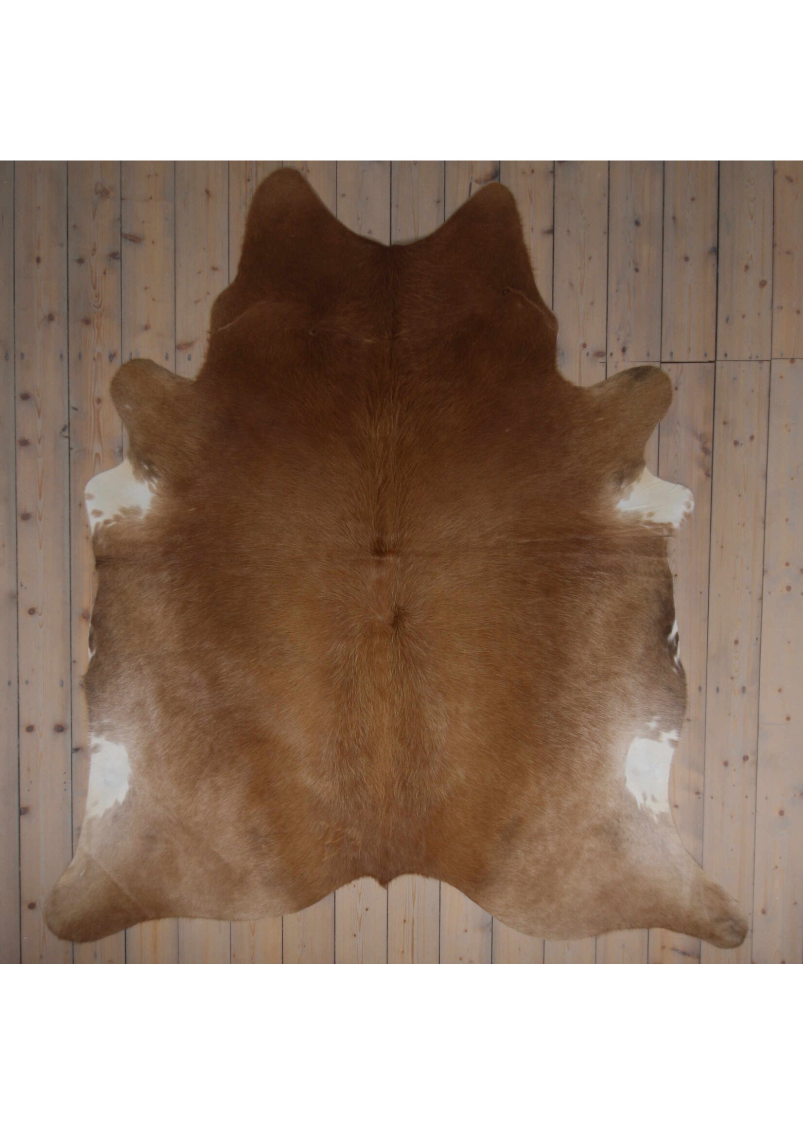 Van Buren sinds 1861 Cowhide - Assorted - Unique 493