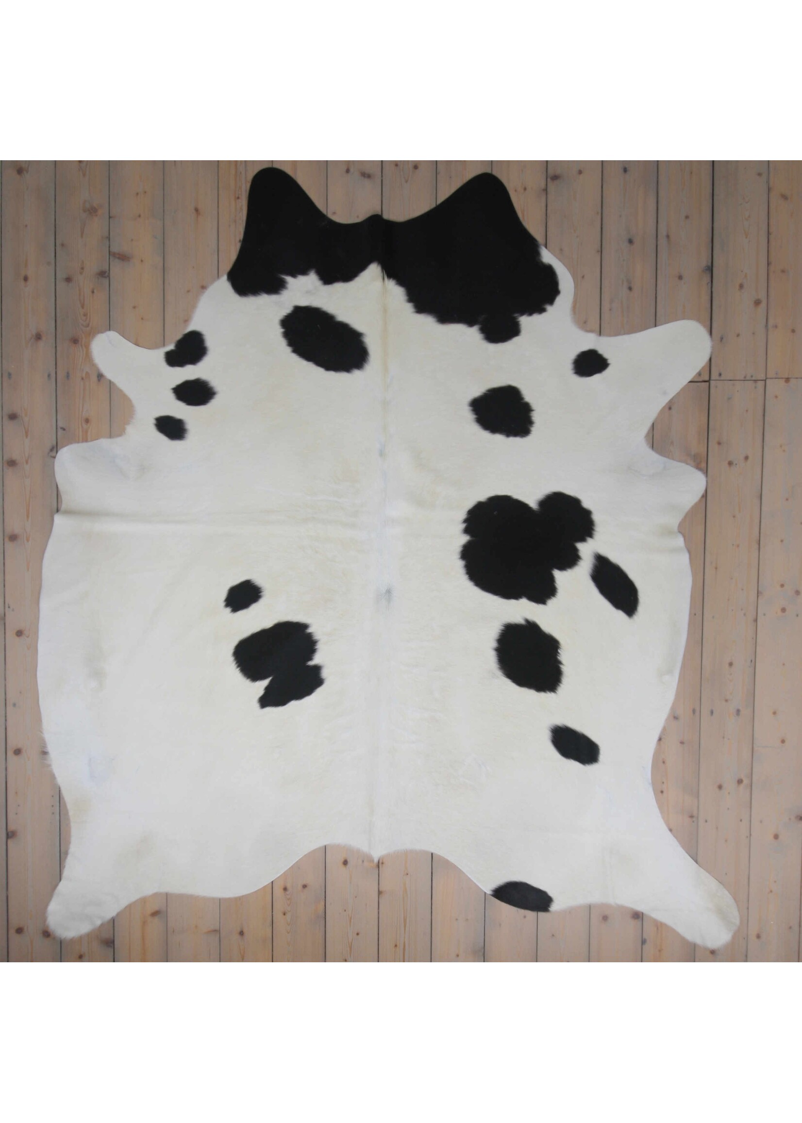 Van Buren sinds 1861 Cowhide - Spotted - Black & White - Unique 809