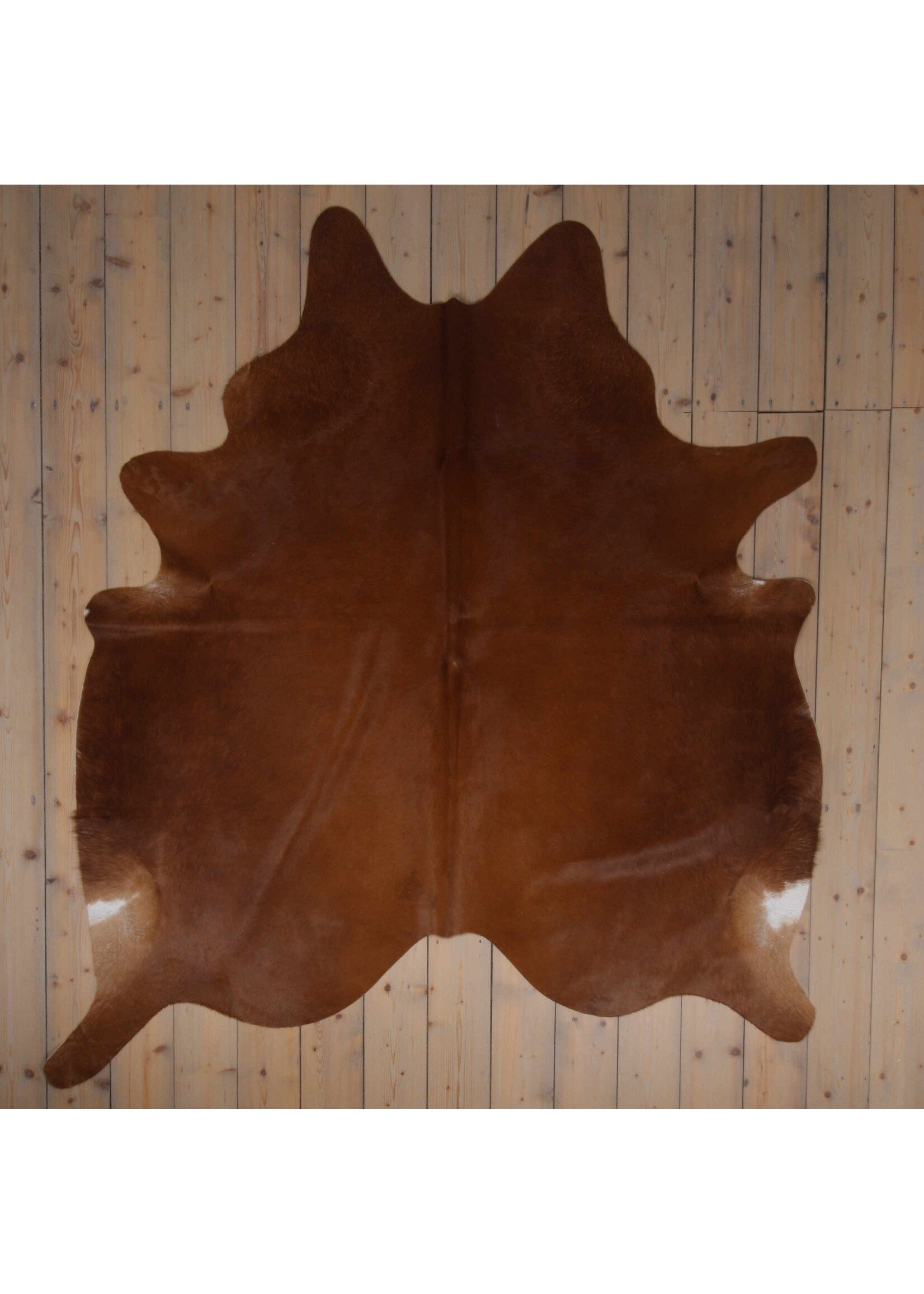 Van Buren sinds 1861 Cowhide - Cognac - Unique 810