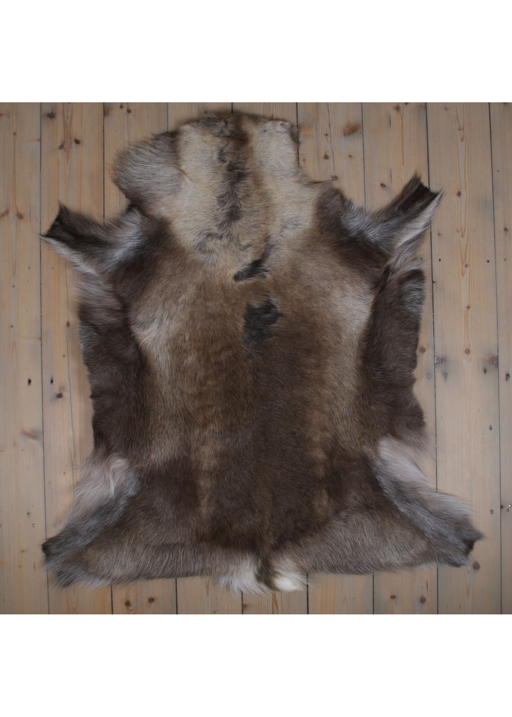 Van Buren sinds 1861 Uniquely Photografed Reindeer Skin | no. RD-005