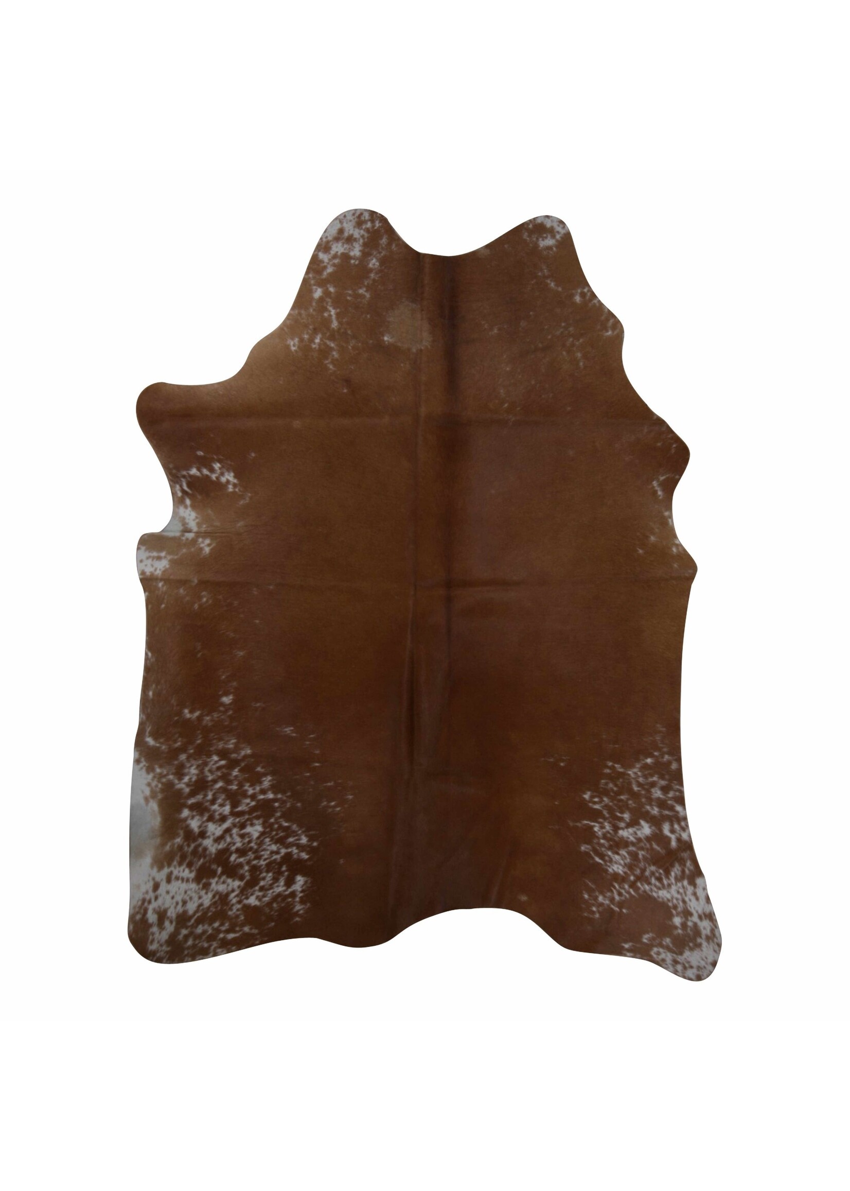 Van Buren sinds 1861 Uniquely Photografed Assorted Cowhide | no. AS-002 | 2-3m