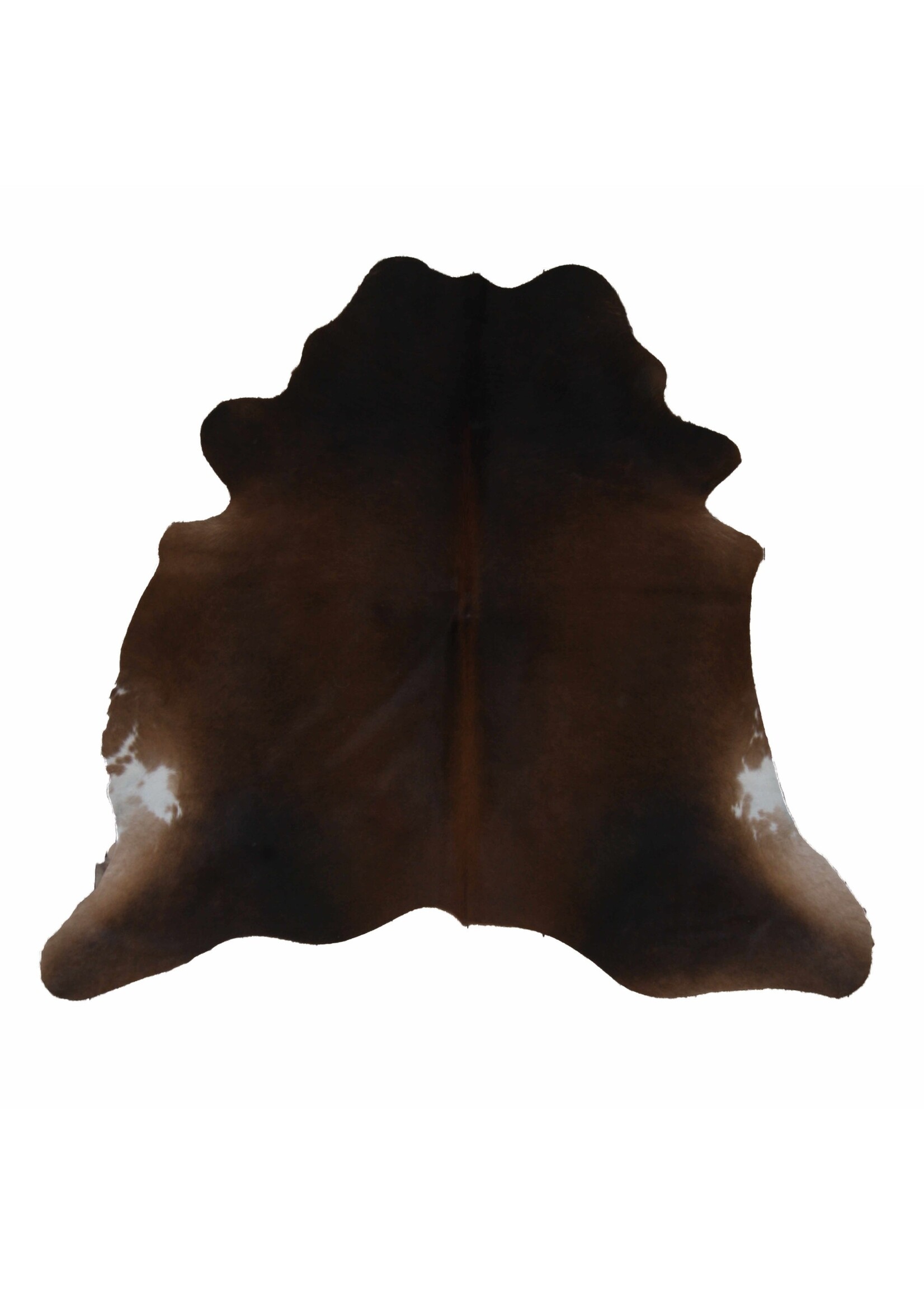 Van Buren sinds 1861 Uniquely Photografed Assorted Cowhide | no. AS-012 | 2-3m