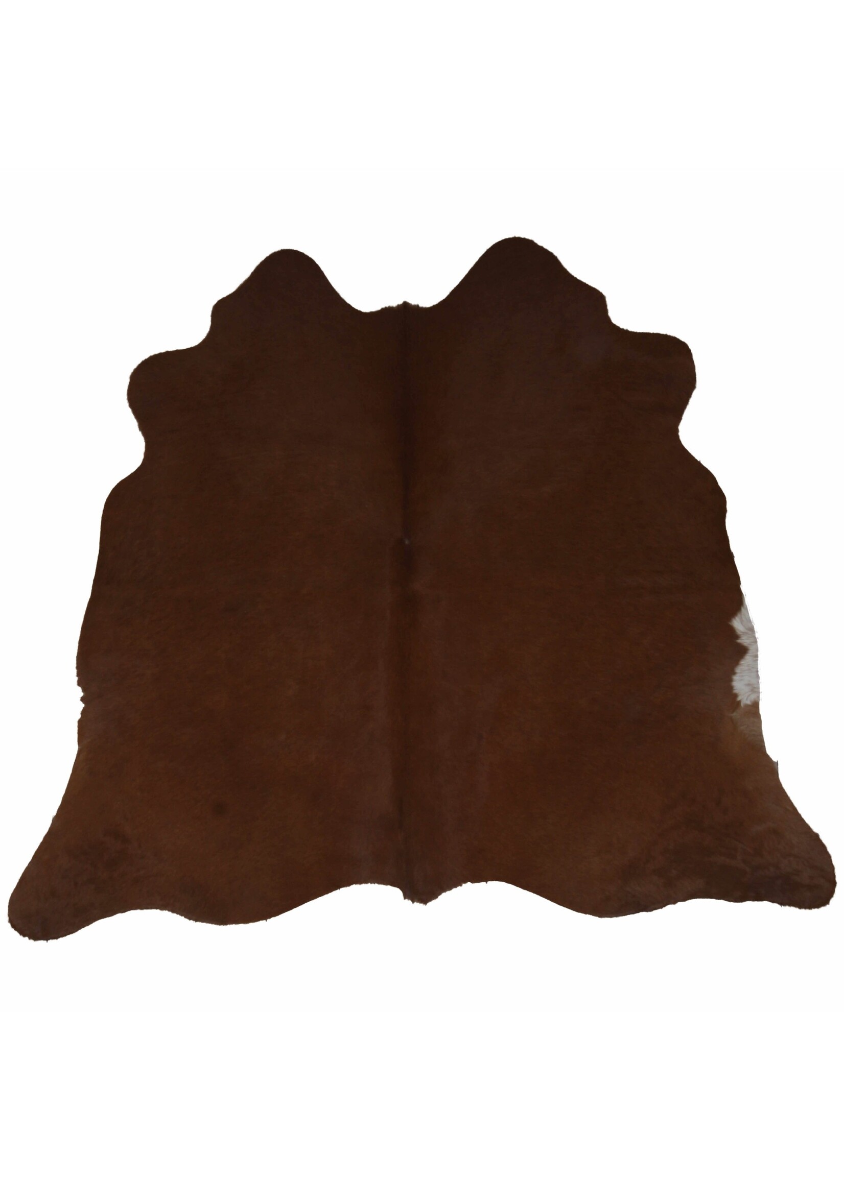 Van Buren sinds 1861 Uniquely Photografed Assorted Cowhide | no. AS-013 | 2-3m