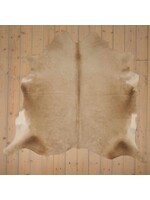 Van Buren sinds 1861 Uniquely Photografed Champagne Cowhide | CH-034