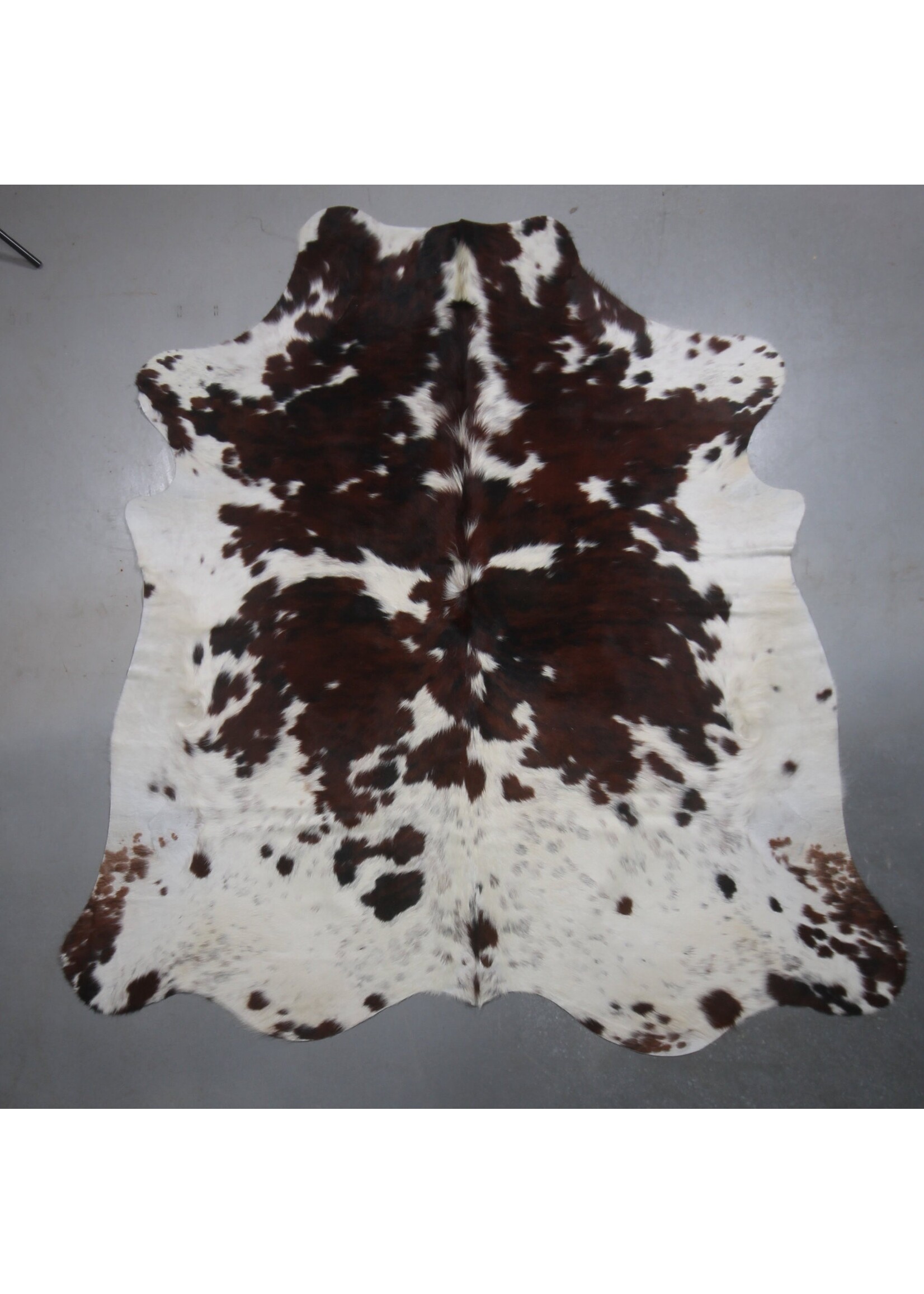 Van Buren sinds 1861 Uniquely Photographed Cowhide - Tricolour - 22-DK005