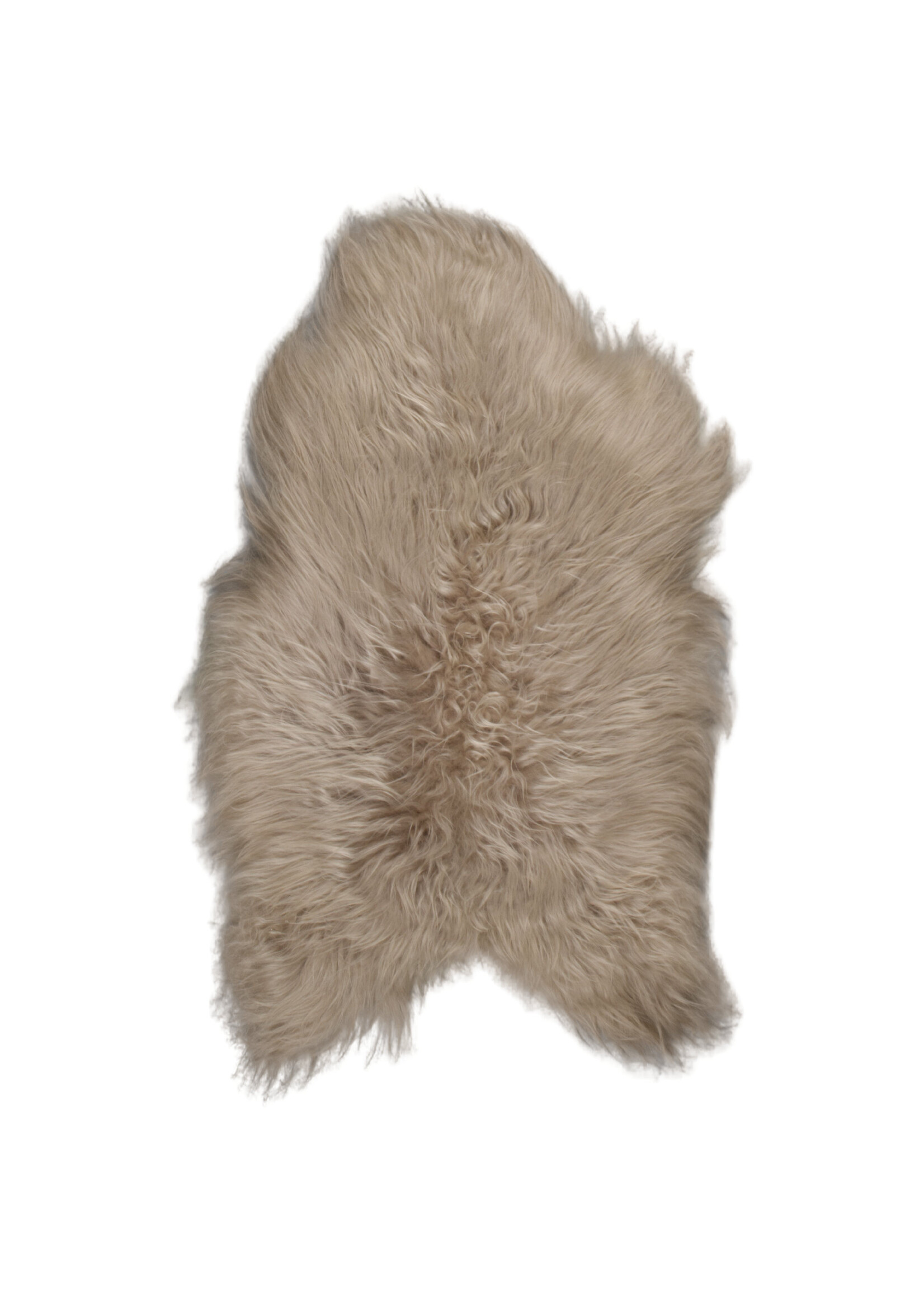 Van Buren sinds 1861 Isländisches Schaffell - Beige