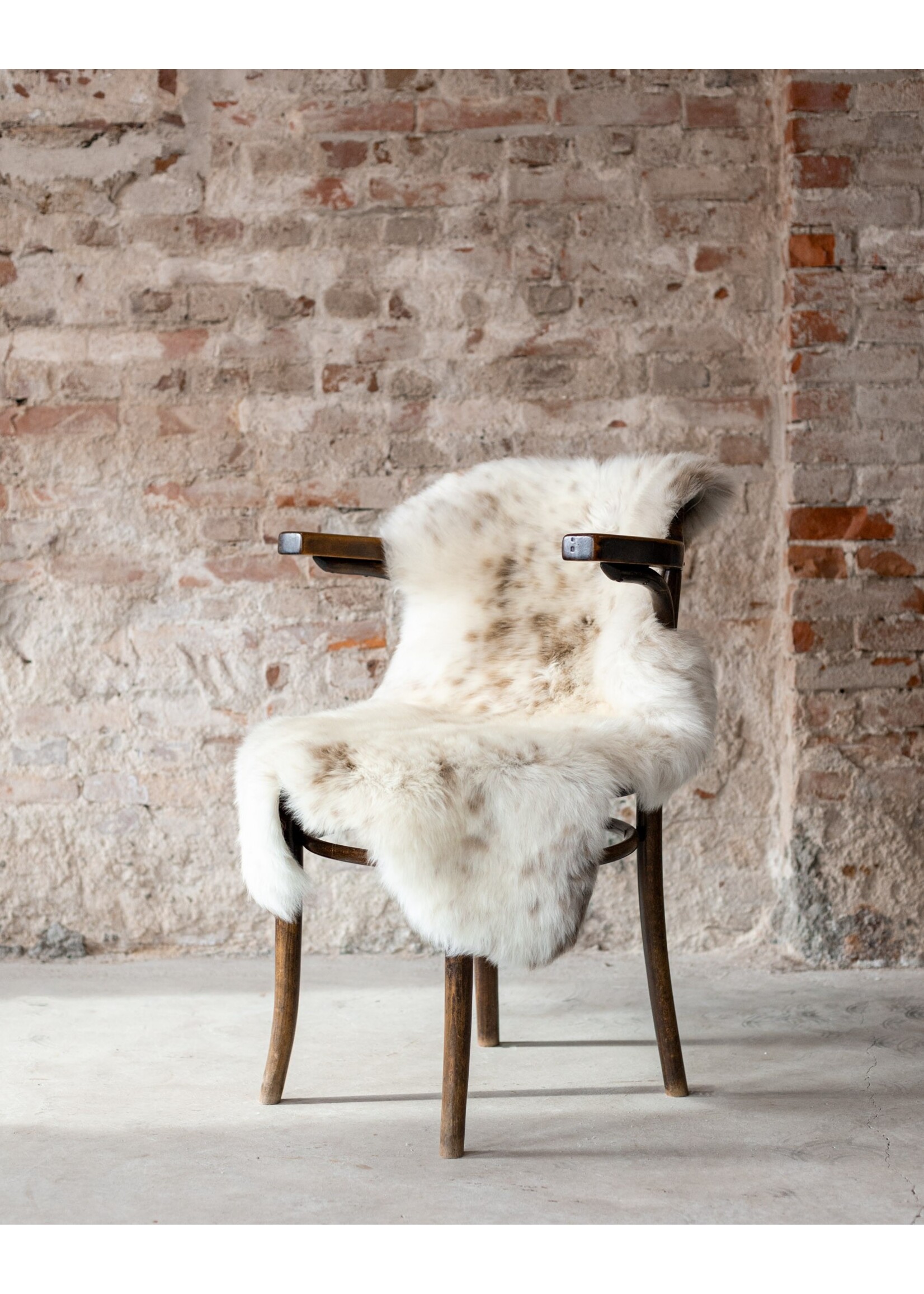 Van Buren sinds 1861 Sheepskin Melange